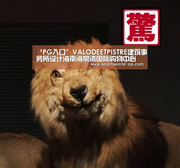 ‘PG入口’VALODEETPISTRE建筑事务所设计海南海棠湾国际购物中心(图2) PG赛事